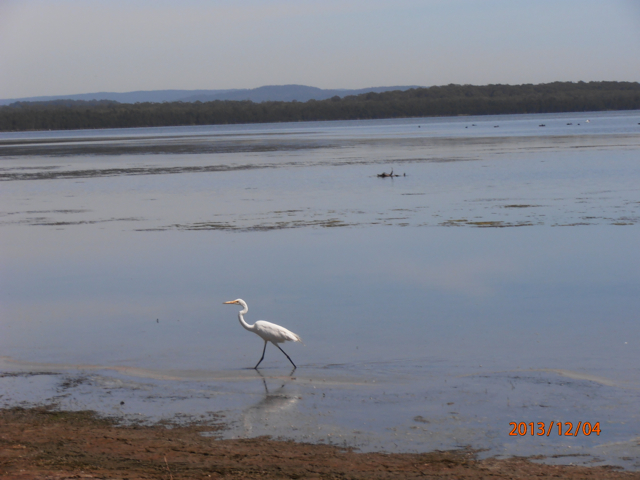 The Glen, Chittaway Point, located near Tuggerah Lake